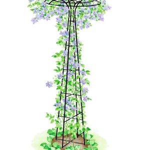 Essex Tuteur, 78″  |   Trellises & Obelisks Trellises & Obelisks Trellises & Obelisks