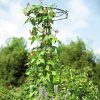 Essex Tuteur, 78″  |   Trellises & Obelisks Trellises & Obelisks Trellises & Obelisks