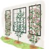 Exeter Wall Trellis  |   Trellises & Obelisks Trellises & Obelisks Trellises & Obelisks