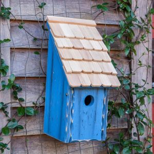 Heartwood Bluebird Bunkhouse Bird House  |   Bird Houses Bird Houses Bird Houses