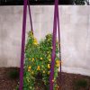 Mira Modern Garden Trellis Sr.  |   Trellises & Obelisks Trellises & Obelisks Trellises & Obelisks