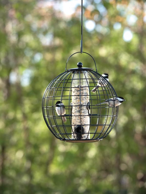 Mixed Seed Globe Cage Feeder  |   Bird Feeders Bird Feeders Bird Feeders