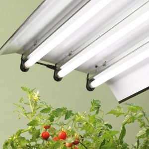 High Intensity Light Fixture  |   Grow Light Fixtures & Bulbs Grow Light Fixtures & Bulbs Grow Light Fixtures & Bulbs