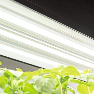 LED SunLite®  High Intensity Fixture  |   Grow Light Fixtures & Bulbs Grow Light Fixtures & Bulbs Grow Light Fixtures & Bulbs