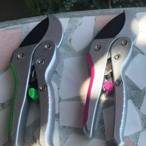 Ratcheting Clippers  |   Loppers & Pruners Loppers & Pruners Loppers & Pruners