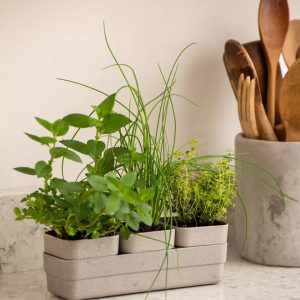 Eco Herb Planters With Tray  |   Indoor Pots and Planters INDOOR GARDEN Indoor Pots & Planters