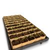 Paper Pots Tray  |   Seed Starting Pots & Kits INDOOR GARDEN Seed Starting Pots & Kits